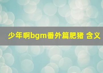 少年啊bgm番外篇肥猪 含义